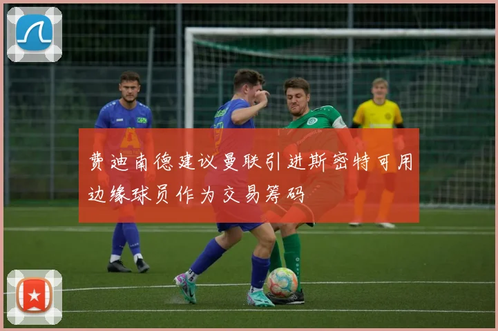 费迪南德建议曼联引进斯密特可用边缘球员作为交易筹码