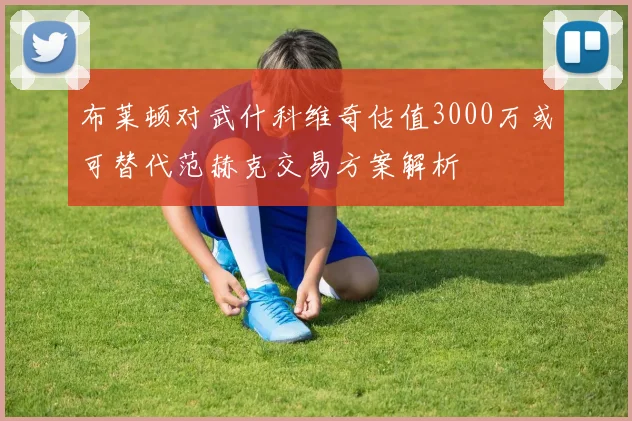 布莱顿对武什科维奇估值3000万或可替代范赫克交易方案解析